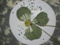 Next image